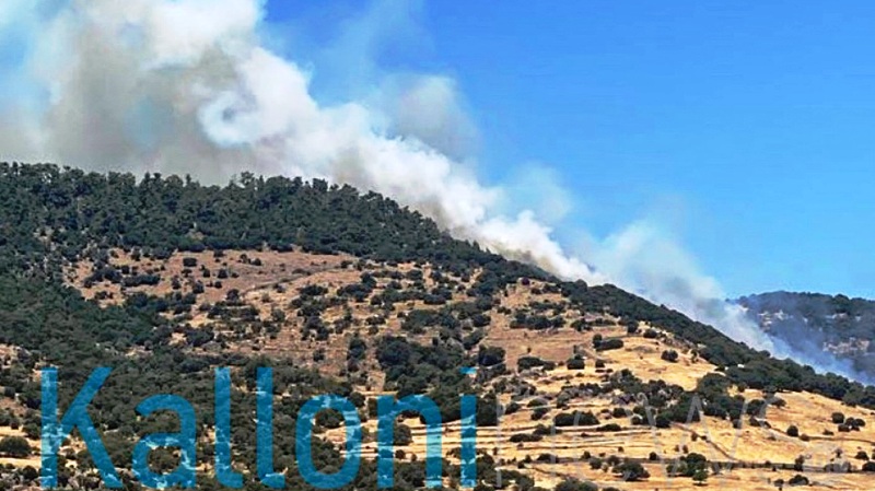 Μεγάλη φωτιά στη Λέσβο: Οι ισχυροί άνεμοι δυσκολεύουν την τιτάνια μάχη της Πυροσβεστικής