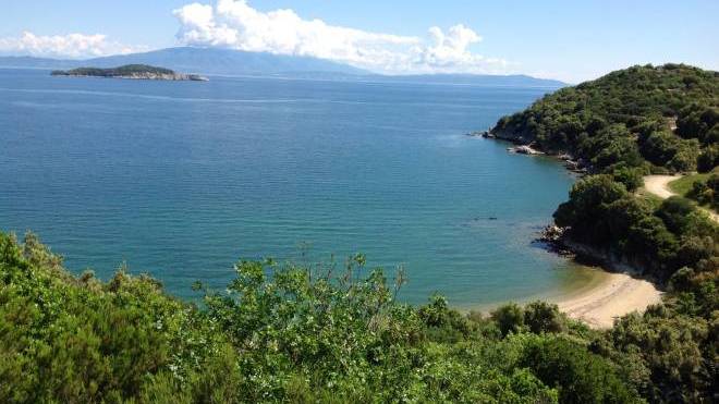 Η Ελλάδα χάνει 2 δισ. ετησίως από τη μη αξιοποίηση των περιοχών Natura