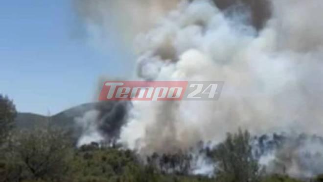 Μαίνεται η πυρκαγιά στο Σοφικό Κορινθίας - Μήνυμα του 112 στους κατοίκους, τρεις τραυματίες πυροσβέστες (ΦΩΤΟ & ΒΙΝΤΕΟ)