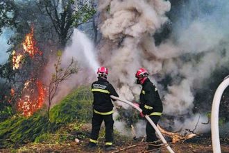 Πυροσβεστική: 45 φωτιές το τελευταίο 24ωρο