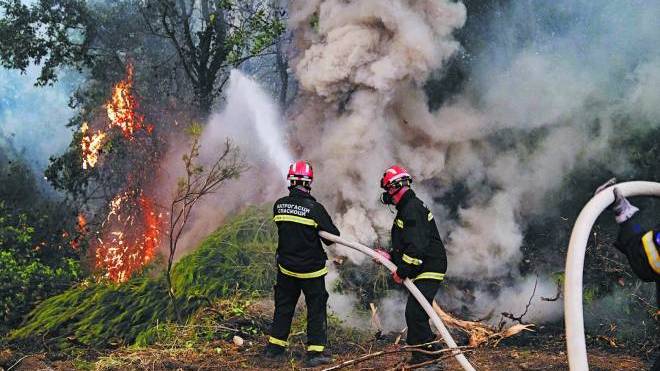Πυροσβεστική: 45 φωτιές το τελευταίο 24ωρο