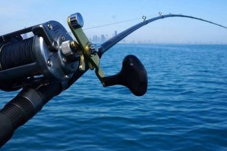 Νέος συναγερμός στις ελληνικές θάλασσες - Εντοπίστηκε πολύ επικίνδυνος θηρευτής