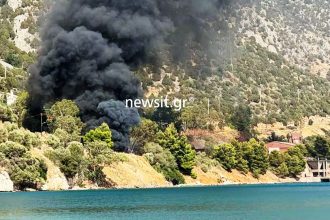 Τραγωδία: Φορτηγό έπεσε σε γκρεμό και έπιασε φωτιά, απανθρακώθηκε ο οδηγός (ΒΙΝΤΕΟ)