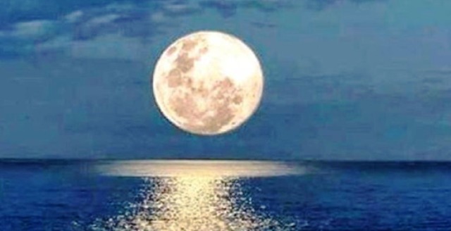 «Ποίηση με την πανσέληνο» στον κήπο του Πολύεδρου - Συμμετοχές