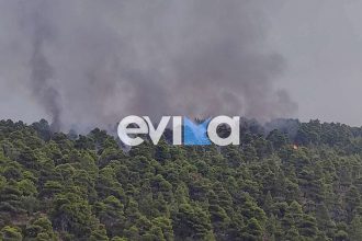 Σε εξέλιξη τέσσερις πυρκαγιές στην Εύβοια από κεραυνούς