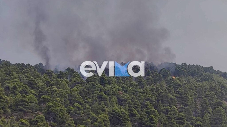 Σε εξέλιξη τέσσερις πυρκαγιές στην Εύβοια από κεραυνούς