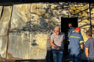 Φωτιά στην Αττική: «Έψαχναν τη Νάντια στο κινητό και δεν απαντούσε» - Πώς βρέθηκε νεκρή η 65χρονη