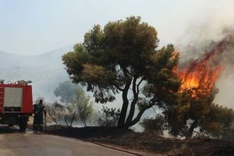 Φωτιά στη Μεσσηνία – Στη μάχη και εναέρια μέσα