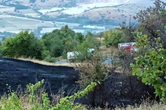 Σε ύφεση η φωτιά στον Παλαμπά Θεσπρωτίας