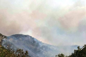 Μεγάλη δασική πυρκαγιά στον Παλαμπά Θεσπρωτίας - Πλησιάζουν το χωριό οι φλόγες, ήχησε το 112 (ΦΩΤΟ)