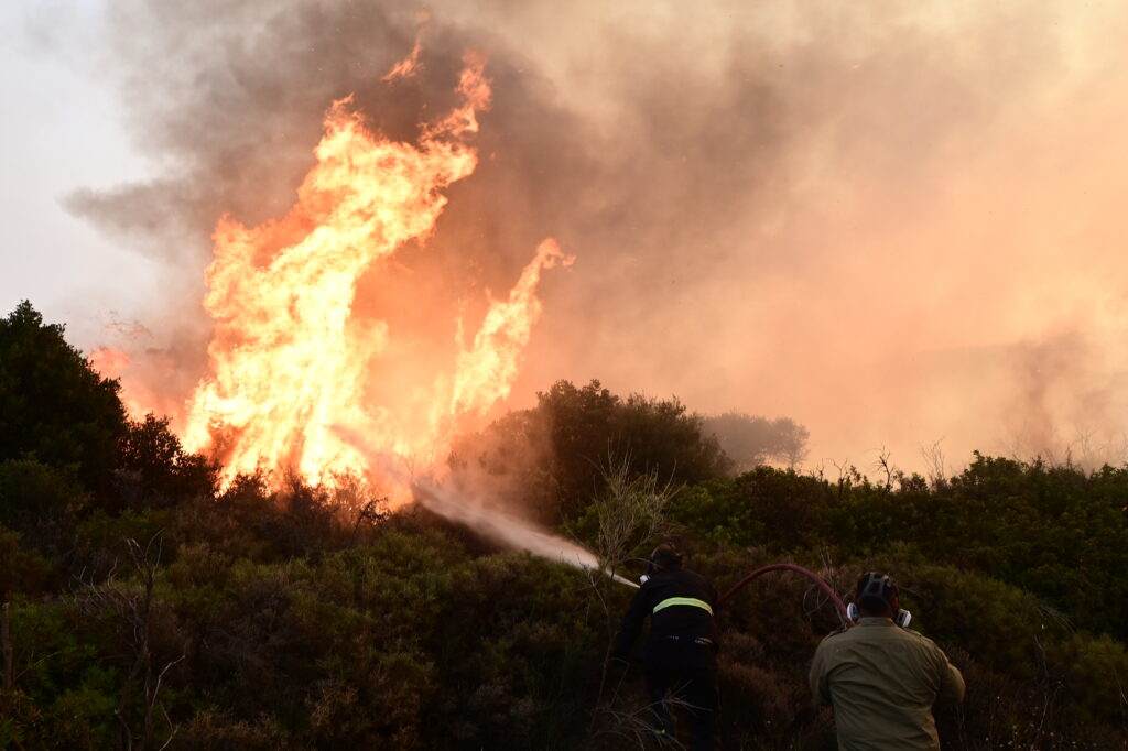 Πυρκαγιά στο Δομοκό - Μήνυμα από το 112 για απομάκρυνση προς Άγιο Στέφανο