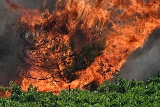 Πολύ υψηλός κίνδυνος για φωτιά σήμερα σε 8 περιφέρειες: Άνεμοι ως 8 μποφόρ θα σαρώσουν τη χώρα