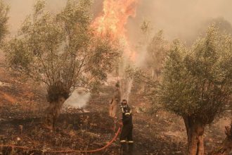 Πολύ υψηλός κίνδυνος πυρκαγιάς σήμερα Παρασκευή σε τέσσερις Περιφέρειες