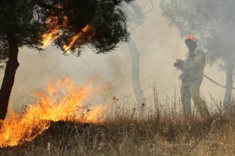 Φωτιά στην Άνω Επίδαυρο - Ισχυρές δυνάμεις της Πυροσβεστικής