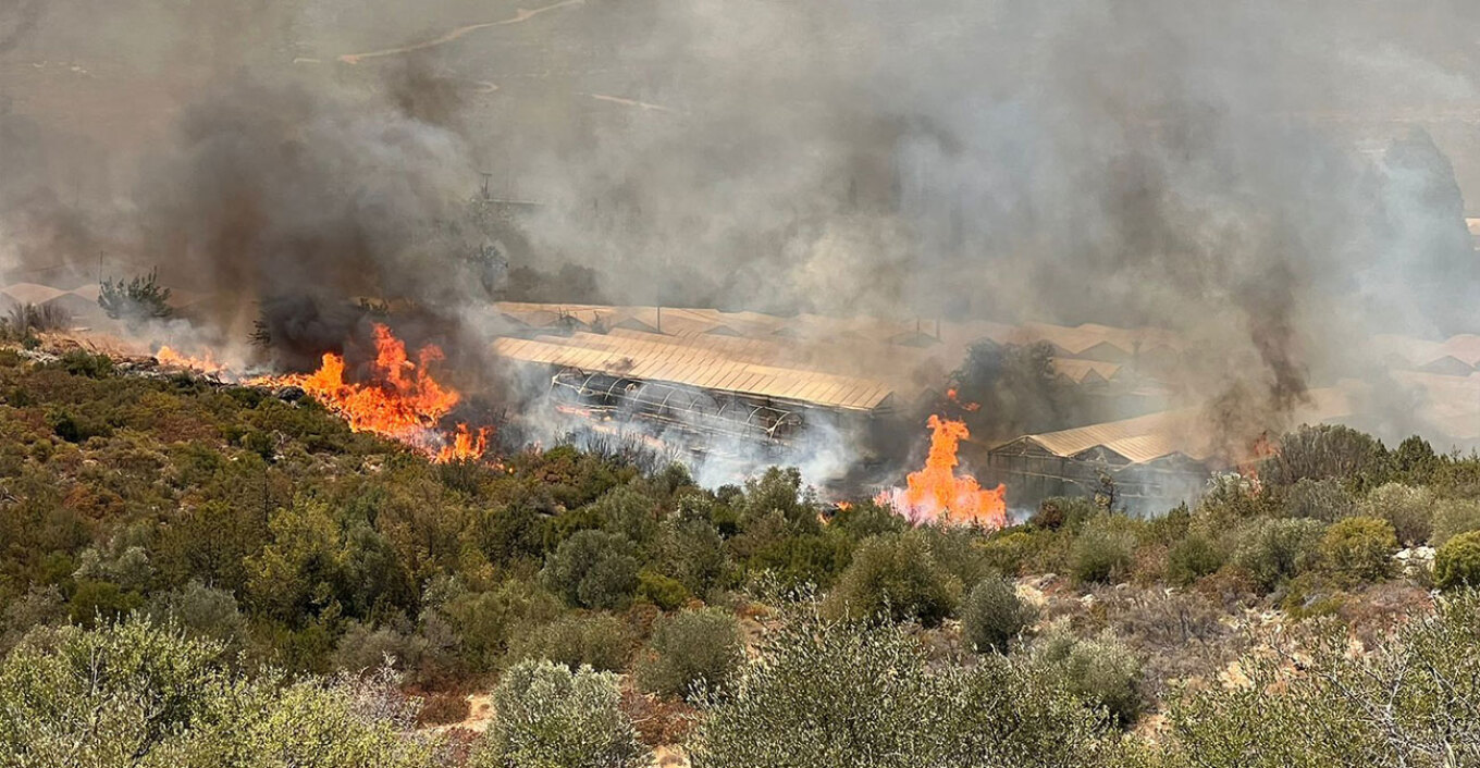 Φωτιά στην Αττική: Καίγονται τα φυτώρια του Μαραθώνα, στα 150 μέτρα από τα σπίτια οι φλόγες - ΒΙΝΤΕΟ