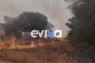 Φωτιά στην Ερέτρια Ευβοίας: Καίει κοντά σε σπίτια