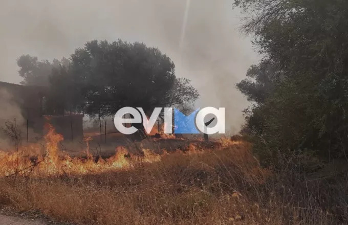 Φωτιά στην Ερέτρια Ευβοίας: Καίει κοντά σε σπίτια