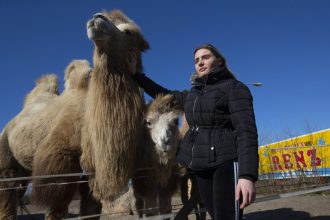 Ουγγαρία: Αγρότες οδήγησαν καμήλες στο κέντρο της Βουδαπέστης για την κλιματική αλλαγή
