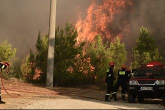 Πυροσβεστική: 27 αγροτοδασικές πυρκαγιές στη χώρα το τελευταίο 24ωρο