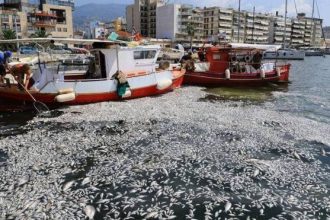 Βόλος: Νεκροταφείο ψαριών ο Παγασητικός - Απομακρύνθηκαν πάνω από 160 τόνοι