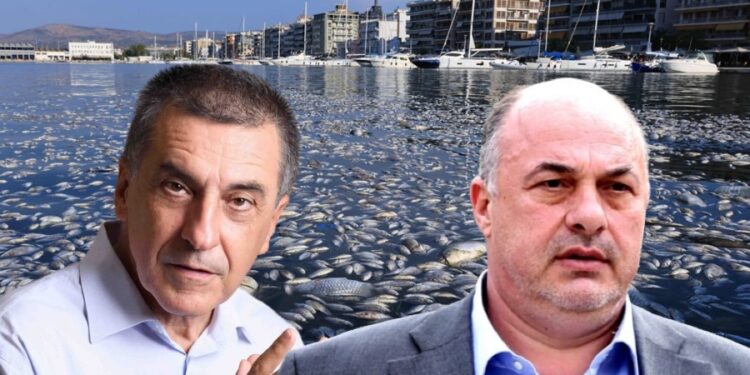 Σφοδρή αντιπαράθεση Μπέου και Πατρινού Δημήτρη Κουρέτα για τα νεκρά ψάρια στον Παγασητικό