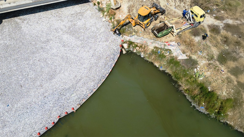 Τα 4 μέτρα στήριξης στις επιχειρήσεις που έχουν επηρεαστεί από τα νεκρά ψάρια στον Βόλο