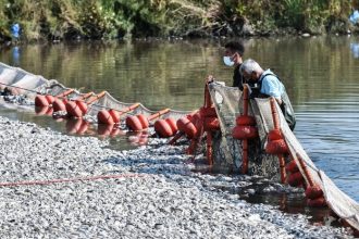 Σε κατάσταση Έκτακτης Ανάγκης ο Βόλος μετά τα νεκρά ψάρια στον Παγασητικό