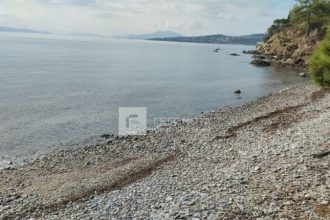 Βόλος: Από την Τρίτη ήταν νεκρός ο 40χρονος που χτύπησε τον πατέρα του με ψαροντούφεκο