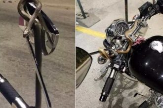 Τρόμος για οδηγό: Φίδι τυλίχτηκε γύρω από το τιμόνι εν κινήσει μηχανής