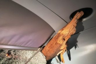 Από θαύμα γλίτωσε ο μηχανοδηγός του τρένου στις Αφίδνες - Το δέντρο μπήκε στην καμπίνα του (ΦΩΤΟ)