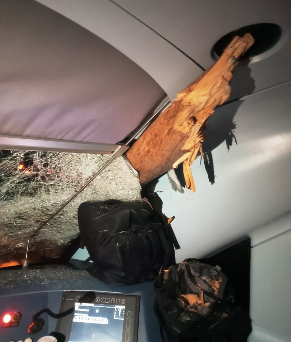 Από θαύμα γλίτωσε ο μηχανοδηγός του τρένου στις Αφίδνες - Το δέντρο μπήκε στην καμπίνα του (ΦΩΤΟ)