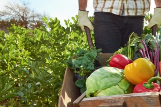 Λαβρόφ: Δεν μπορεί η Τουρκία να πουλήσει S400 σε άλλες χώρες χωρίς τη συγκατάθεση της Ρωσίας