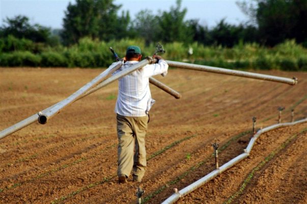 Αγρότες: Πότε και πώς θα γίνει η ρύθμιση των κόκκινων δανείων και η επιστροφή του ΕΦΚ στο πετρέλαιο