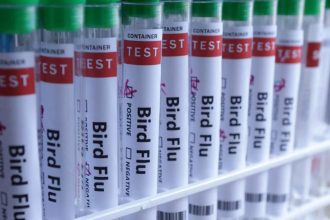 ΗΠΑ: Ασθενής μολύνθηκε από την γρίπη των πτηνών χωρίς επαφή με ζώο