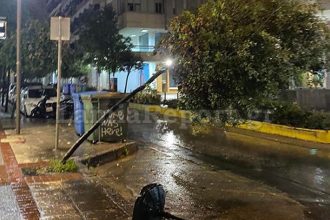 Μπουρίνι έπληξε τη Λαμία και τη Φθιώτιδα – Έπεσαν δέντρα