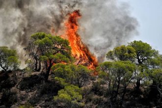 Φωτιά στη Φθιώτιδα: Στη "μάχη" της κατάσβεσης και εναέρια μέσα