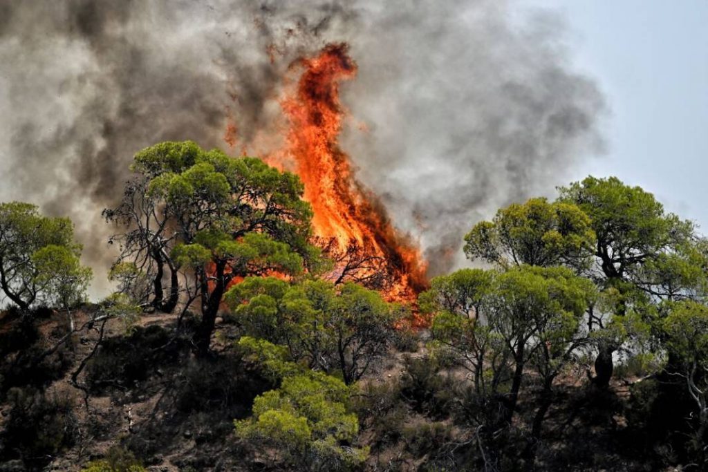 Φωτιά στη Φθιώτιδα: Στη "μάχη" της κατάσβεσης και εναέρια μέσα
