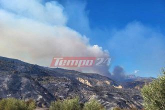 Ξυλόκαστρο: Χωρίς ενεργές εστίες η πυρκαγιά - "Στάχτη" 50.000 στρέμματα - "Μαύρισε ο τόπος και η ψυχή μας..." (ΦΩΤΟ)