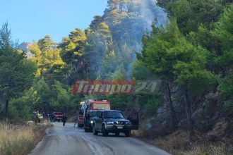Φωτιά στο Ξυλόκαστρο: Σε κάπνισμα μελισσιών εντοπίζεται η εστία - «Καμπάνα» σε αντιδήμαρχο, μελισσοκόμο