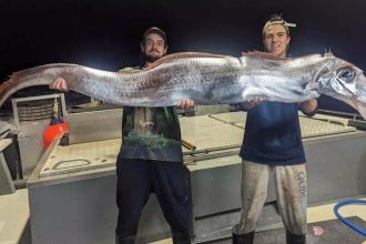 Ψαράδες έπιασαν το «ψάρι της Αποκάλυψης» - Τι φέρνει η εμφάνισή του