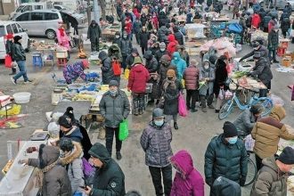 Χαλκιδική: Νέες αποκαλύψεις για τον θάνατο της 8χρονης που βρέθηκε νεκρή στην πισίνα της κατασκήνωσης