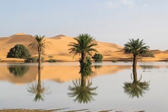 Έρημος Σαχάρα: Πλημμύρισε έπειτα από δεκαετίες