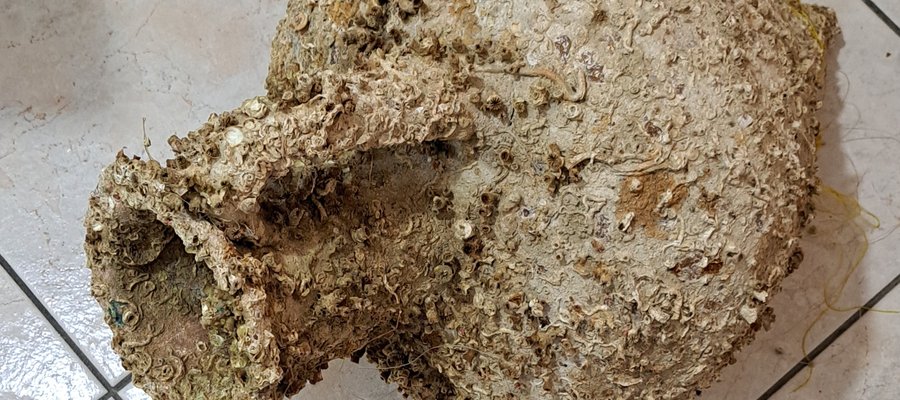 Κόρινθος: Βρέθηκαν αρχαίοι αμφορείς στη θάλασσα