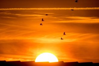 Περισσότεροι από τους μισούς θανάτους που σχετίζονταν με τη ζέστη το καλοκαίρι του 2022 στην Ευρώπη αποδίδονται στην ανθρωπογενή υπερθέρμανση