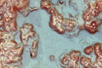 Ανακαλύφθηκε χαμένη πόλη των Μάγια στο Μεξικό