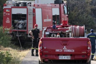 Πυρκαγιές σε Τανάγρα και Ίο