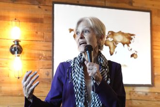 Αμερικανικές εκλογές: Οι Ευρωπαίοι Πράσινοι καλούν την Τζιλ Στάιν να αποσυρθεί