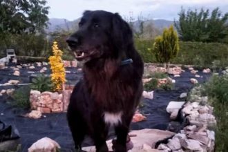 Χάθηκε ο Τζακ