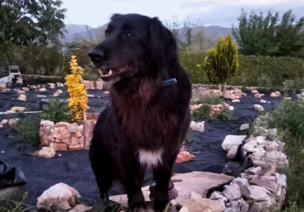 Χάθηκε ο Τζακ