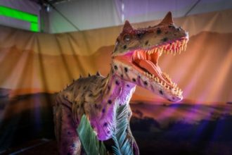 Η έκθεση Δεινοσαύρων στην Πάτρα - Ενα μοναδικό θέαμα